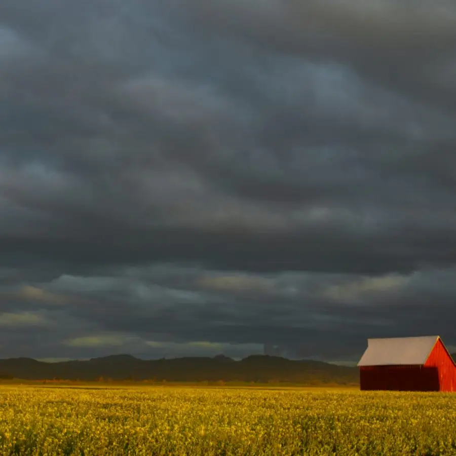 red barn farm