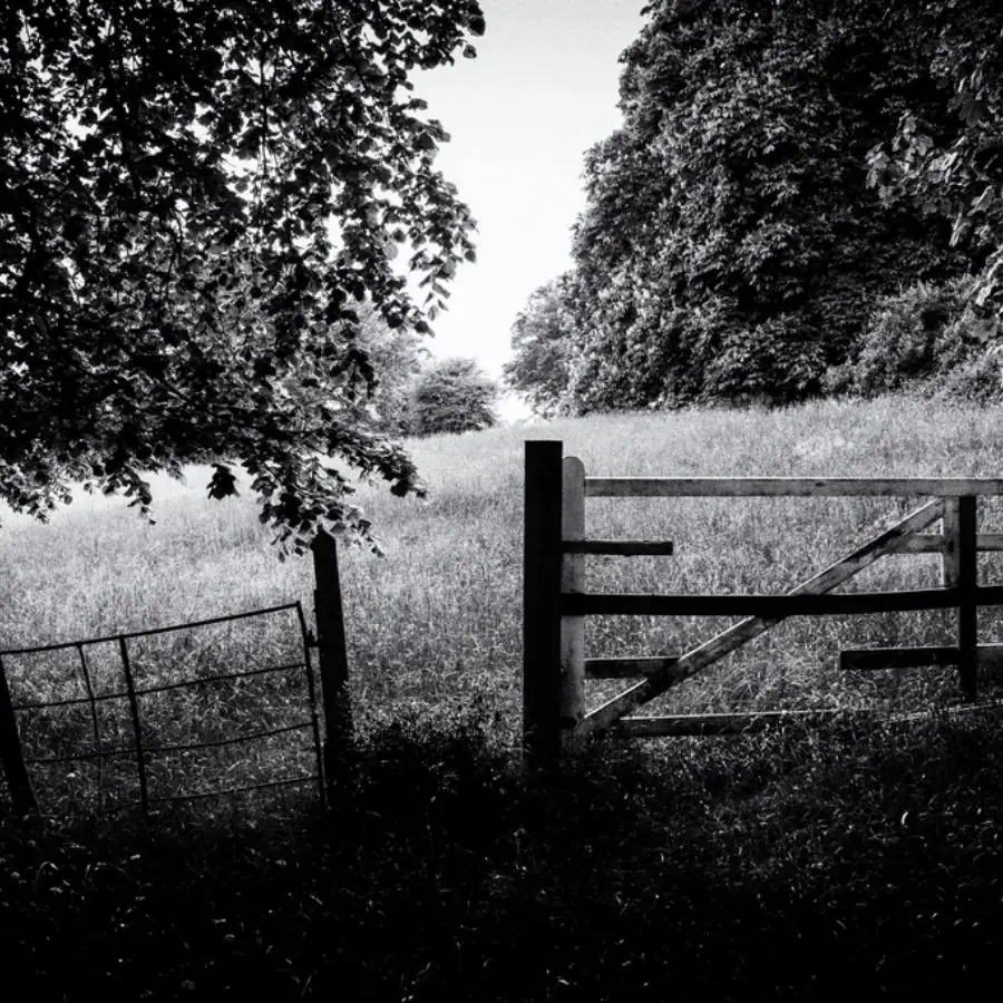 farm gate fence