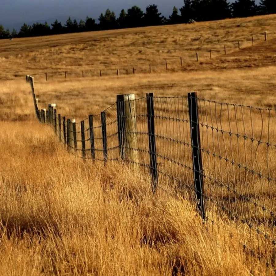 farm gate fence