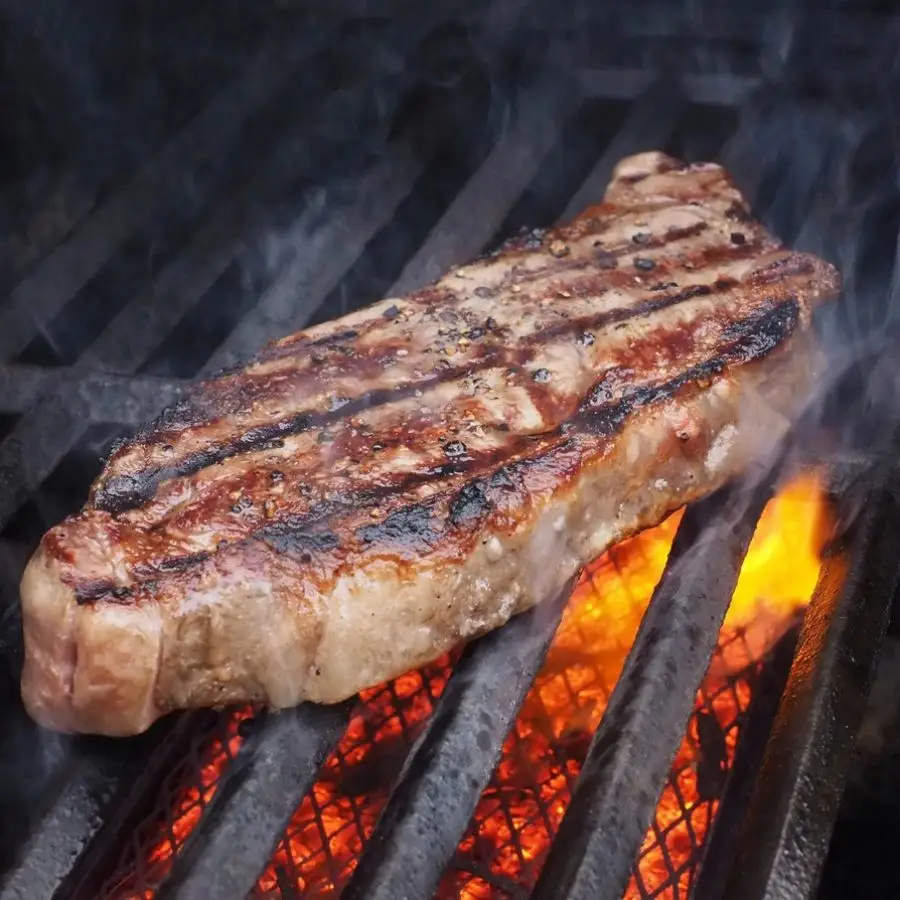 barbecue grill