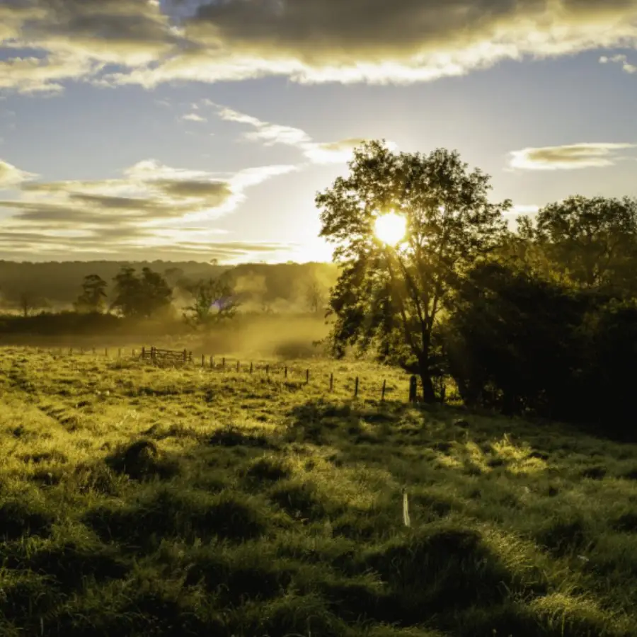 farm sunset field